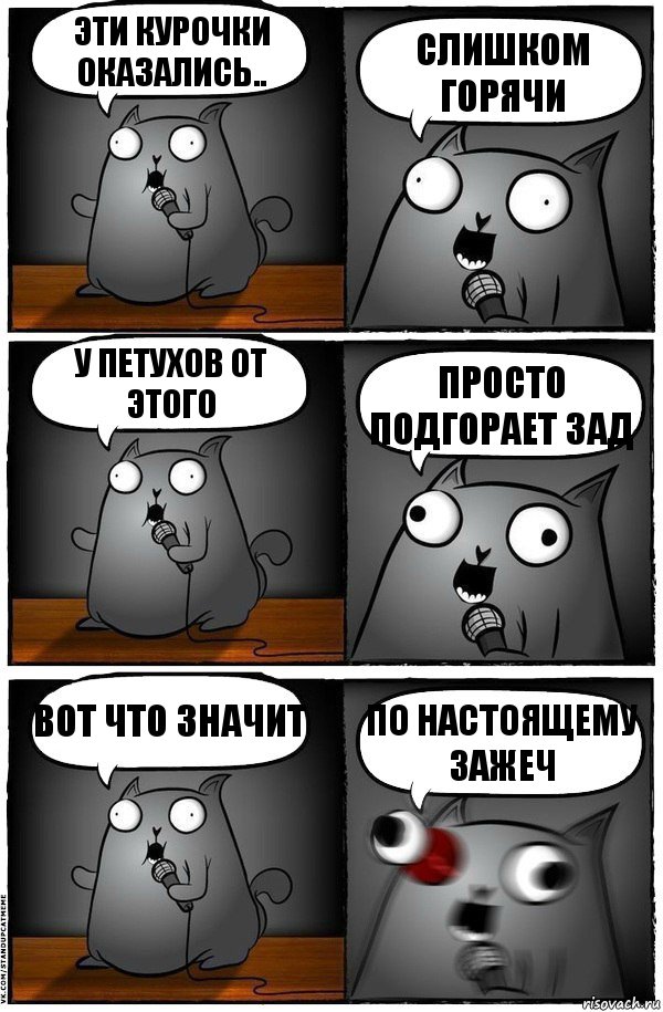 Эти курочки оказались.. слишком горячи у петухов от этого просто подгорает зад вот что значит по настоящему зажеч, Комикс  Стендап-кот