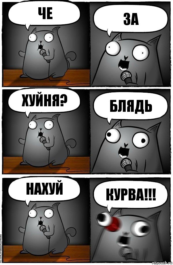 че за хуйня? блядь нахуй курва!!!, Комикс  Стендап-кот