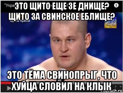 это щито еще зе днище? щито за свинское еблище? это тёма свинопрыг, что хуйца словил на клык, Мем Свинопрыг шта щито 