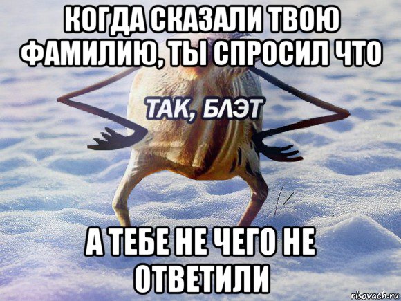 когда сказали твою фамилию, ты спросил что а тебе не чего не ответили, Мем  Так блэт птица с руками