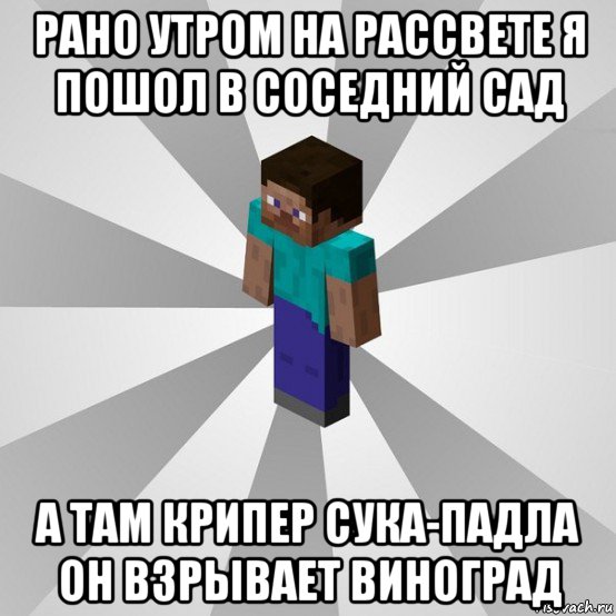 рано утром на рассвете я пошол в соседний сад а там крипер сука-падла он взрывает виноград, Мем Типичный игрок Minecraft