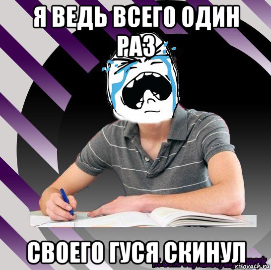 я ведь всего один раз своего гуся скинул, Мем Типодинадцятикласник плачу