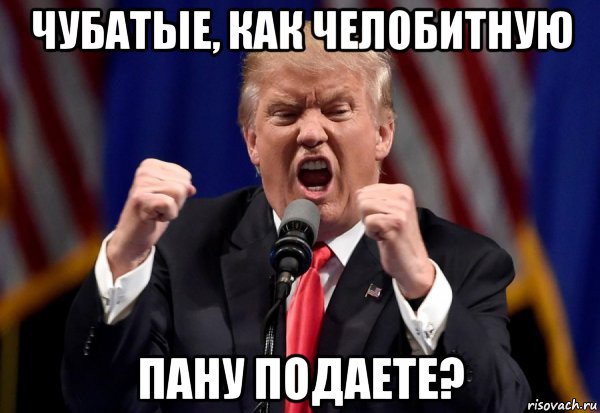 чубатые, как челобитную пану подаете?