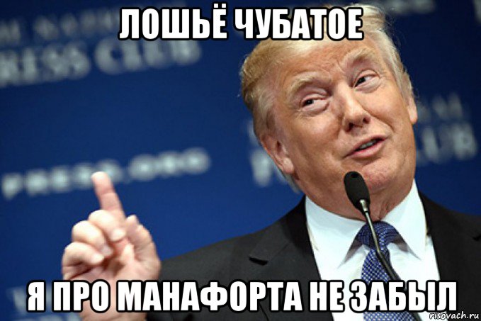 лошьё чубатое я про манафорта не забыл