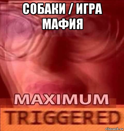 собаки / игра мафия 