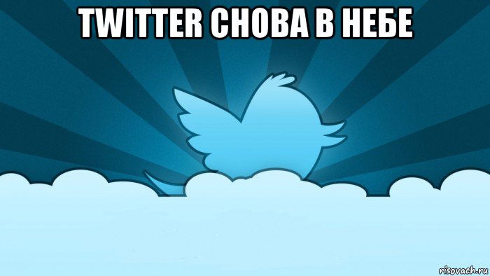 twitter снова в небе , Мем    твиттер