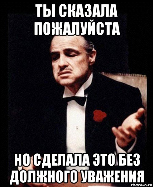 ты сказала пожалуйста но сделала это без должного уважения, Мем ты делаешь это без уважения