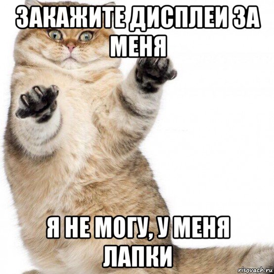 закажите дисплеи за меня я не могу, у меня лапки