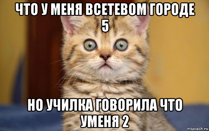 что у меня всетевом городе 5 но училка говорила что уменя 2