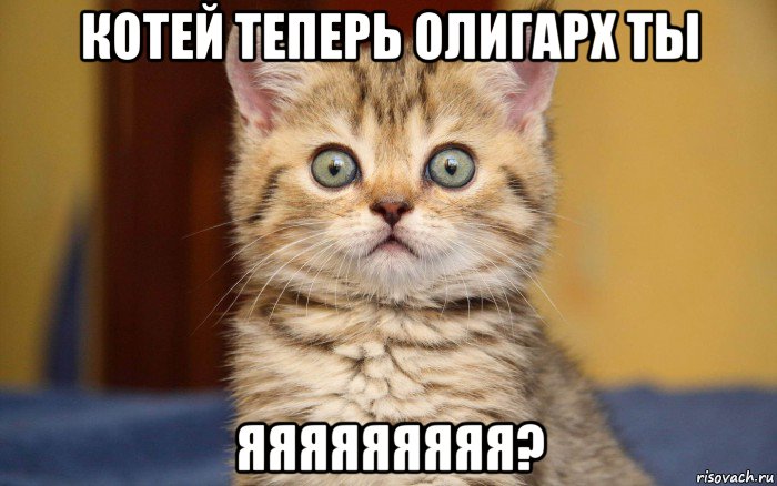 котей теперь олигарх ты яяяяяяяяя?, Мем  удивление