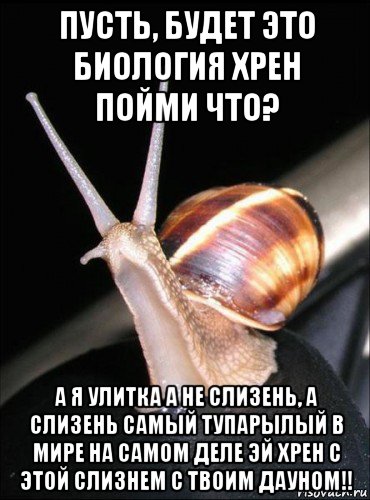 пусть, будет это биология хрен пойми что? а я улитка а не слизень, а слизень самый тупарылый в мире на самом деле эй хрен с этой слизнем с твоим дауном!!