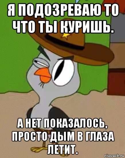 я подозреваю то что ты куришь. а нет показалось, просто дым в глаза летит., Мем    Упоротая сова