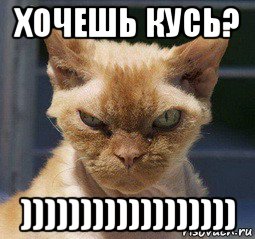 хочешь кусь? )))))))))))))))))), Мем уукук