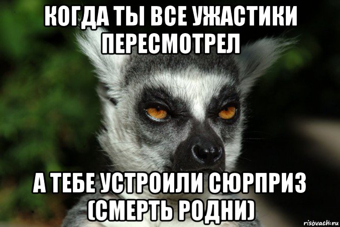 когда ты все ужастики пересмотрел а тебе устроили сюрприз (смерть родни), Мем   Я збагоен