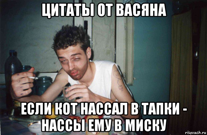 цитаты от васяна если кот нассал в тапки - нассы ему в миску