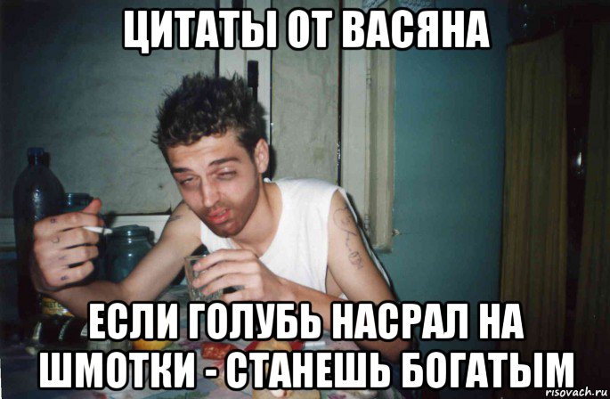 цитаты от васяна если голубь насрал на шмотки - станешь богатым