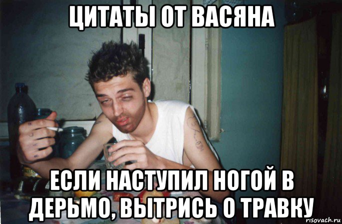 цитаты от васяна если наступил ногой в дерьмо, вытрись о травку