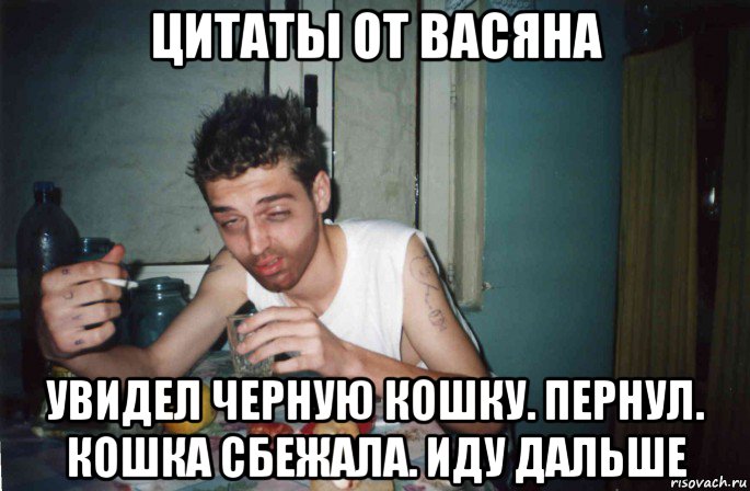 цитаты от васяна увидел черную кошку. пернул. кошка сбежала. иду дальше