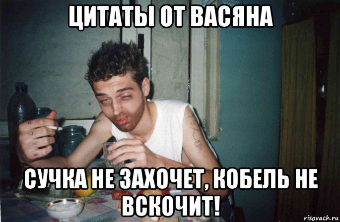 цитаты от васяна сучка не захочет, кобель не вскочит!