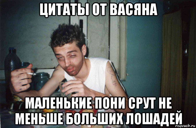 цитаты от васяна маленькие пони срут не меньше больших лошадей