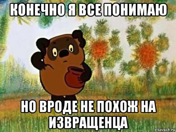 конечно я все понимаю но вроде не похож на извращенца, Мем Винни пух чешет затылок