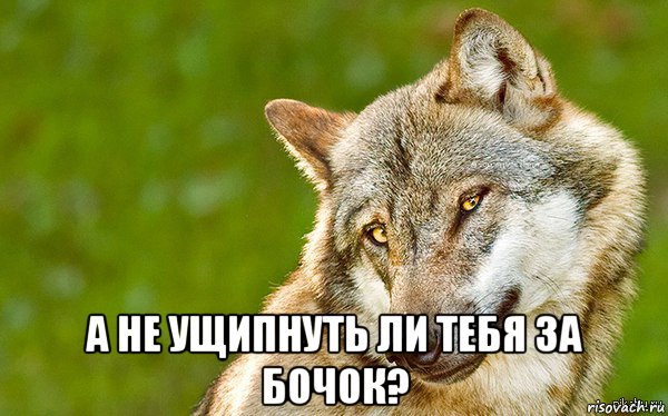  а не ущипнуть ли тебя за бочок?, Мем   Volf