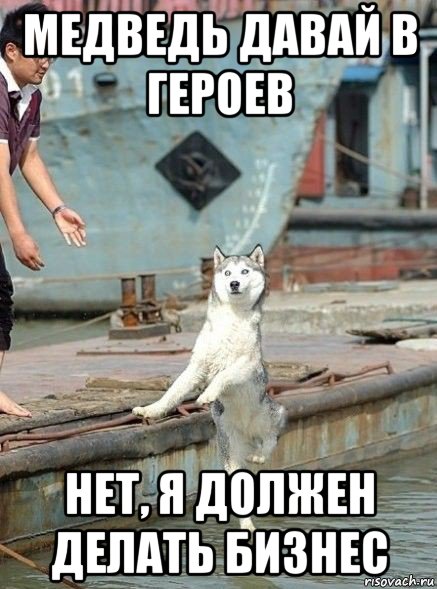 медведь давай в героев нет, я должен делать бизнес