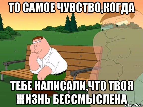 то самое чувство,когда тебе написали,что твоя жизнь бессмыслена, Мем Задумчивый Гриффин