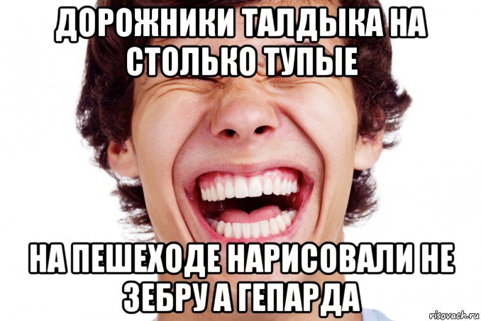 дорожники талдыка на столько тупые на пешеходе нарисовали не зебру а гепарда