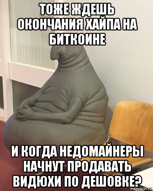 тоже ждешь окончания хайпа на биткоине и когда недомайнеры начнут продавать видюхи по дешовке?