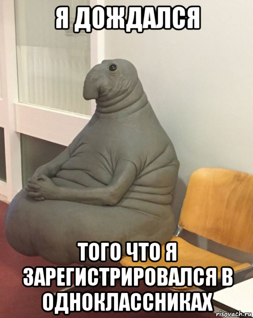 я дождался того что я зарегистрировался в одноклассниках