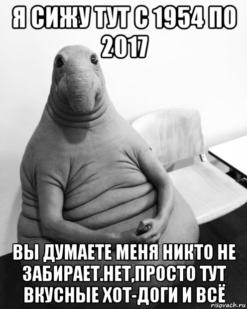 я сижу тут с 1954 по 2017 вы думаете меня никто не забирает.нет,просто тут вкусные хот-доги и всё, Мем  Ждун