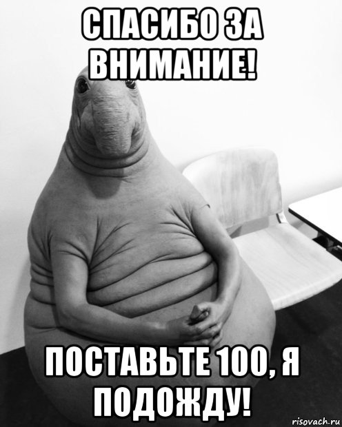 спасибо за внимание! поставьте 100, я подожду!, Мем  Ждун