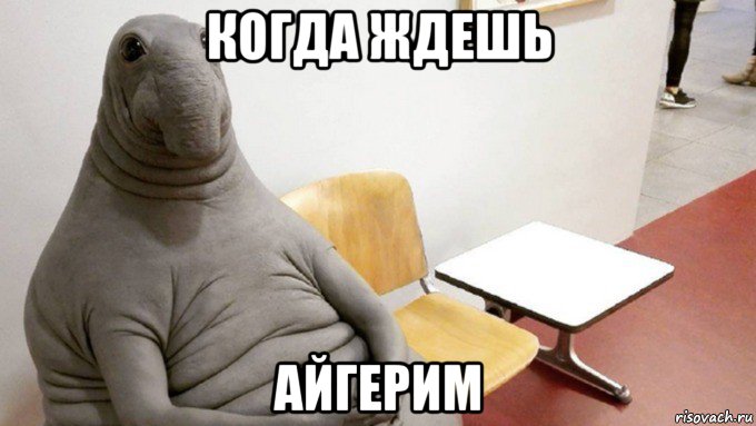 когда ждешь айгерим