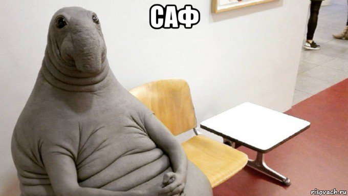 саф 