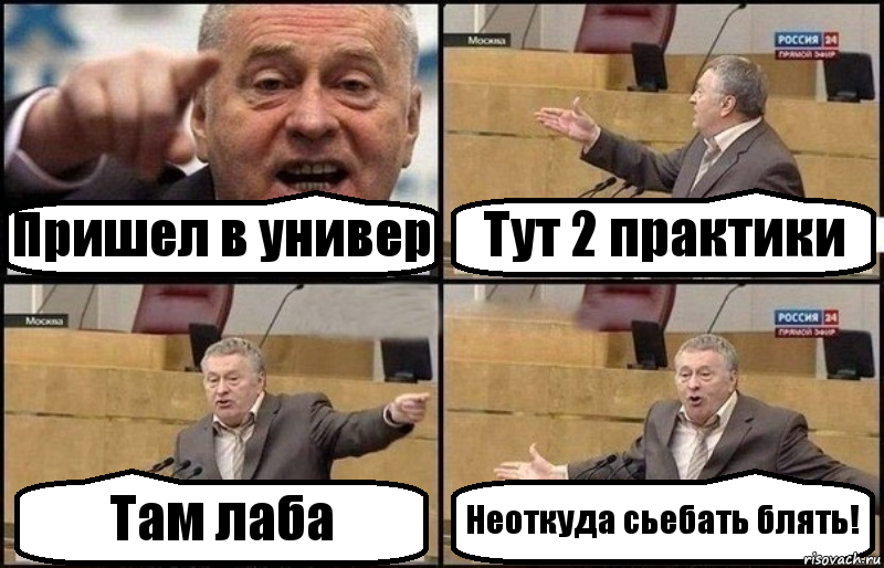 Пришел в универ Тут 2 практики Там лаба Неоткуда сьебать блять!, Комикс Жириновский