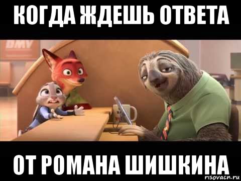когда ждешь ответа от романа шишкина
