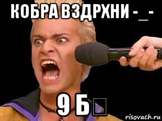 кобра вздрхни -_- 9 б♡, Мем Адвокат