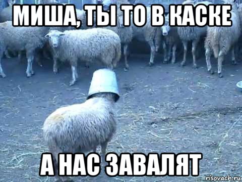 миша, ты то в каске а нас завалят
