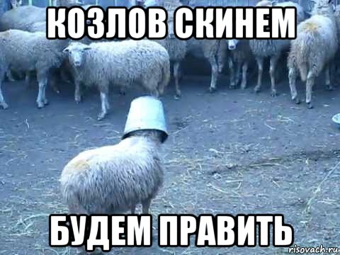 козлов скинем будем править
