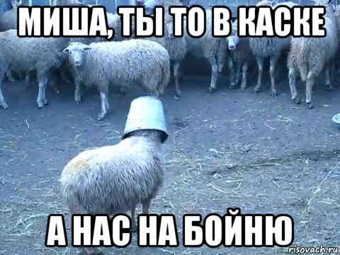 миша, ты то в каске а нас на бойню
