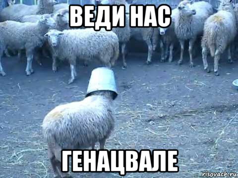 веди нас генацвале