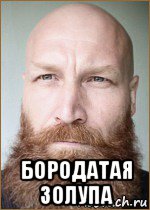  бородатая золупа