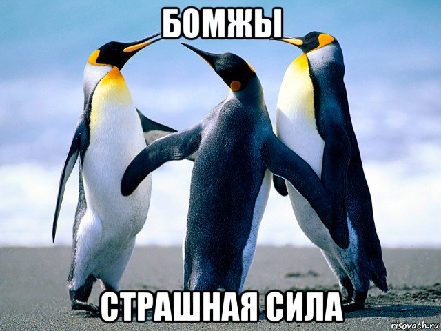 бомжы страшная сила