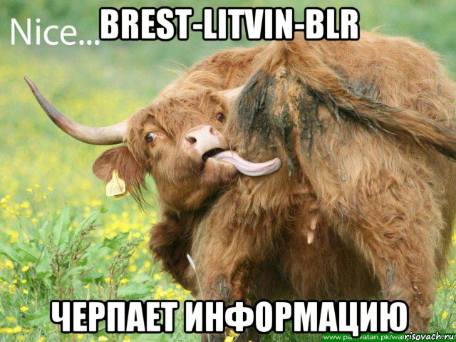 brest-litvin-blr черпает информацию