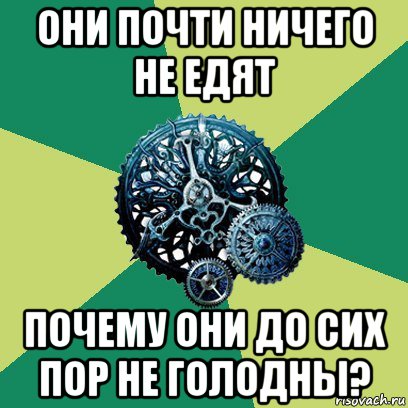 они почти ничего не едят почему они до сих пор не голодны?