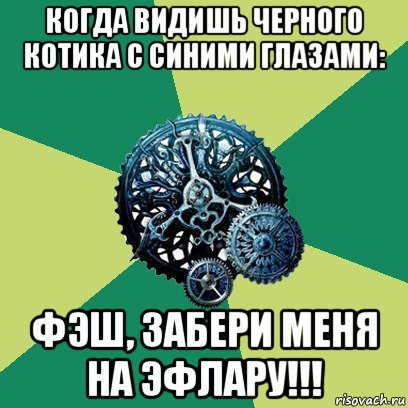 когда видишь черного котика с синими глазами: фэш, забери меня на эфлару!!!