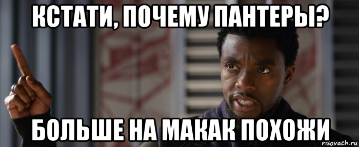 кстати, почему пантеры? больше на макак похожи