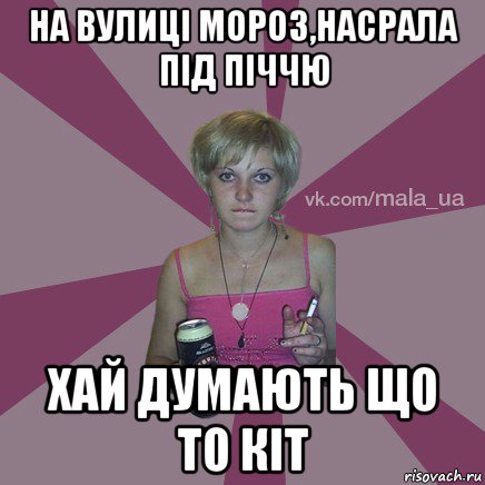 на вулиці мороз,насрала під піччю хай думають що то кіт