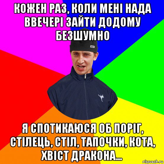 кожен раз, коли мені нада ввечері зайти додому безшумно я спотикаюся об поріг, стілець, стіл, тапочки, кота, хвіст дракона...